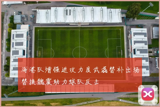 海港队增强进攻力度武磊替补出场替换魏震助力球队反击