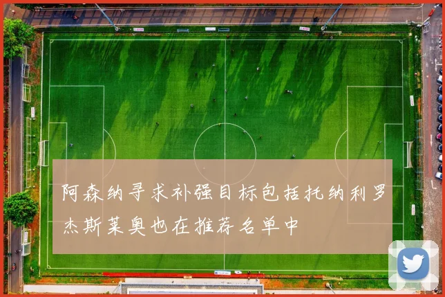 阿森纳寻求补强目标包括托纳利罗杰斯莱奥也在推荐名单中